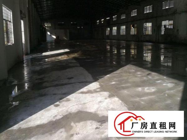  道滘独院单一层砖墙到顶厂房1750平方出租厂房形象好,交通便