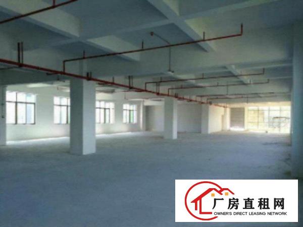  道滘独院厂房出租共5000平方,形象好