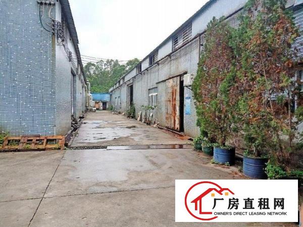  原房东独院6000平米厂房出租