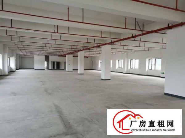  道滘镇大罗沙新出2500平原房东独门独院厂房出租电商仓库