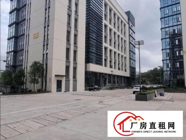  道滘镇大罗沙新出2500平原房东独门独院厂房出租电商仓库