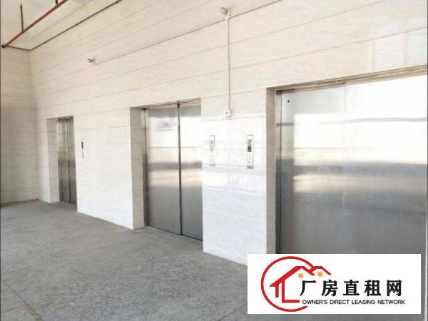  出租道滘镇小河刚空出楼上精装修1000平方水电齐全货梯直达