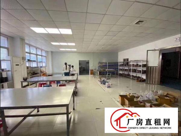  出租道滘镇小河新出一楼1050平方，豪华装修，车间地坪漆