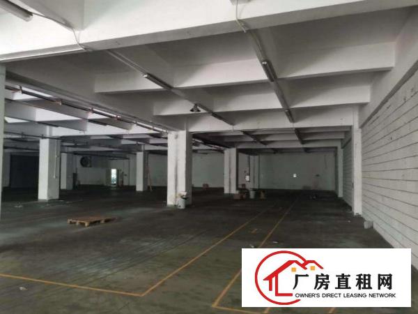  大罗沙一楼2080平厂房出租豪华装修超大停车场