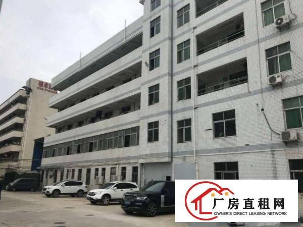  蔡白新出一楼1550平方，厂房现成装修