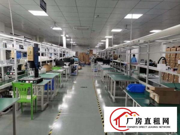  闸口原房东独院3层单层1800带现成行车精装出租