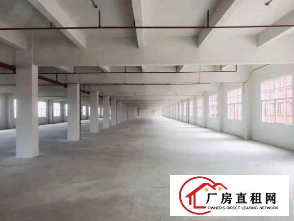  南丫红本带航车厂房出租两栋可分租800平方