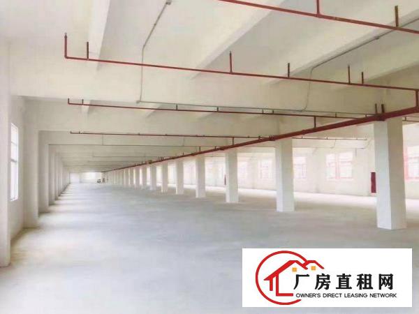  南丫红本带航车厂房出租两栋可分租800平方