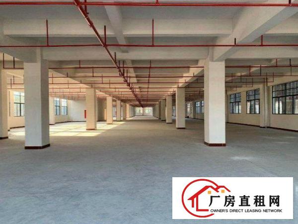  大罗沙现成环评厂房500平方分租