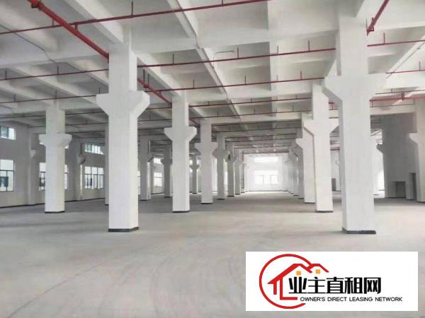  大罗沙2层标准独院厂房原房东厂房500平方起租