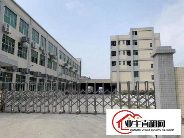  大罗沙2层标准独院厂房原房东厂房500平方起租