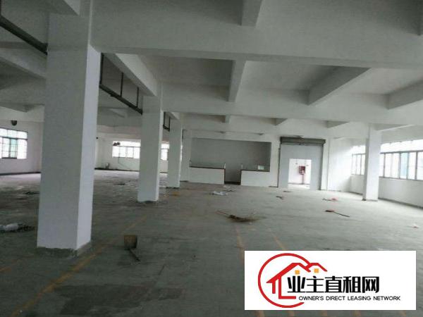  兴隆原房东独门独院厂房，2楼整层1200平方