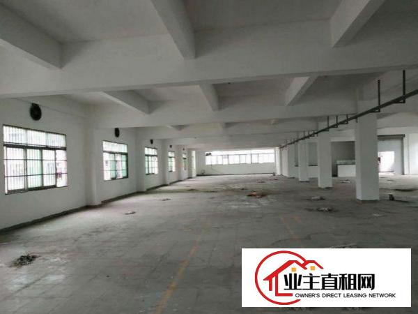  兴隆原房东独门独院厂房，2楼整层1200平方