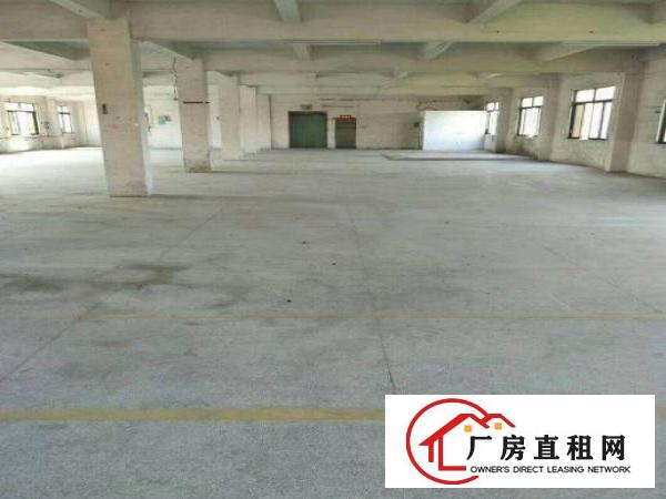  蔡白原房东独门独院标准厂房三层约800平米出租