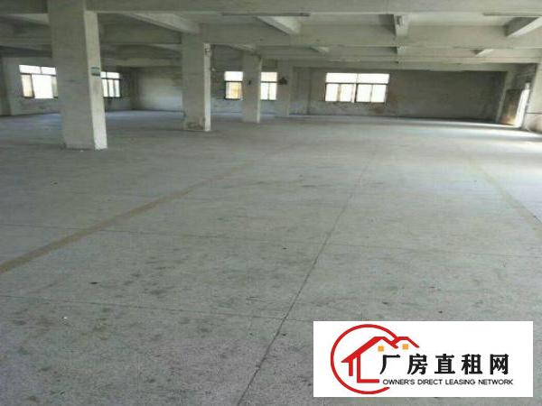  蔡白原房东独门独院标准厂房三层约800平米出租