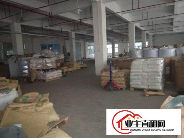  大罗沙原房东标准一楼整层1280平方出租门口空地2700
