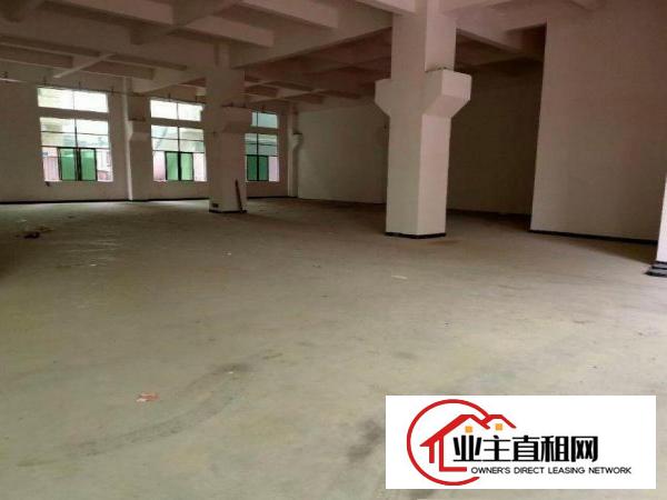  大鱼沙原房东厂房一楼1150平方带牛角可分租600平