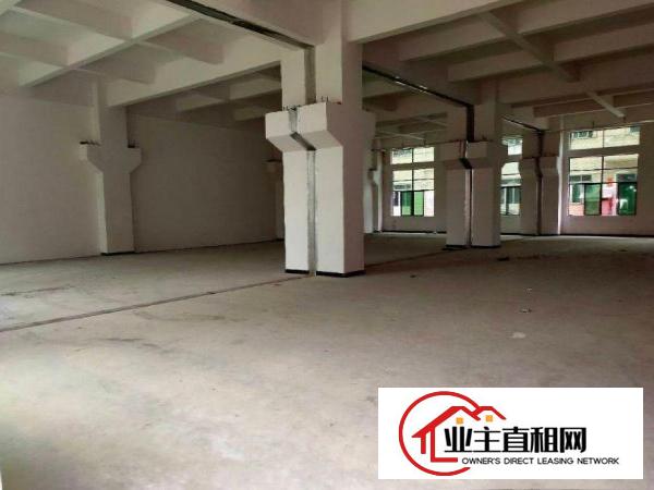  大鱼沙原房东厂房一楼1150平方带牛角可分租600平