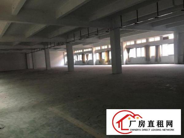 南城厂房1000平方，形象好，可办环评