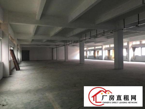  南城厂房1000平方，形象好，可办环评