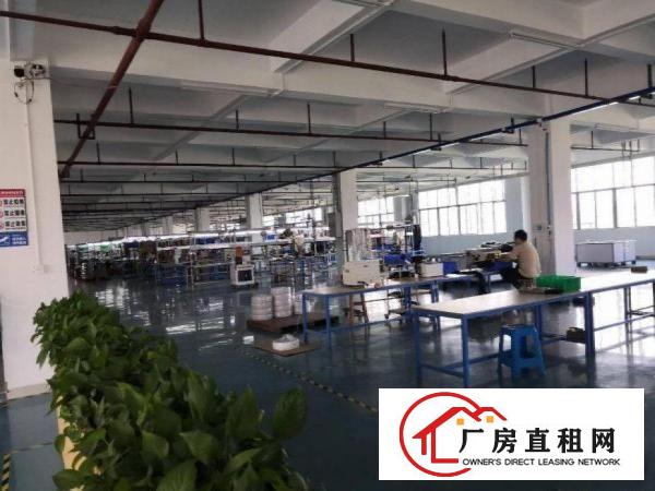  蔡白精装修968平方厂房出租，可办环评