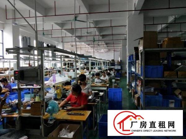  闸口新空出原房东厂房3楼1300平方带精装修出租