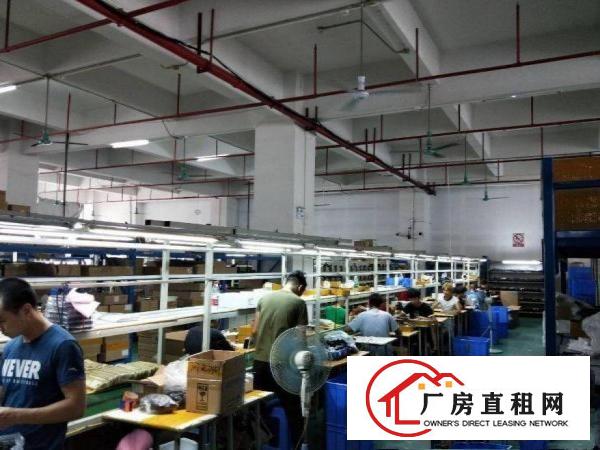  闸口新空出原房东厂房3楼1300平方带精装修出租