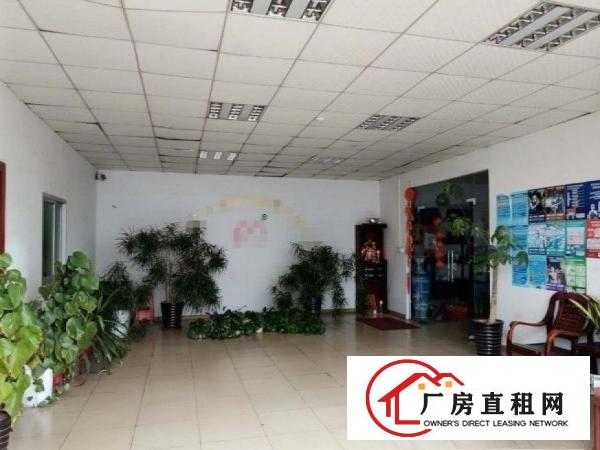  南丫新空出单一层钢构1000平带办公室装修水电齐全