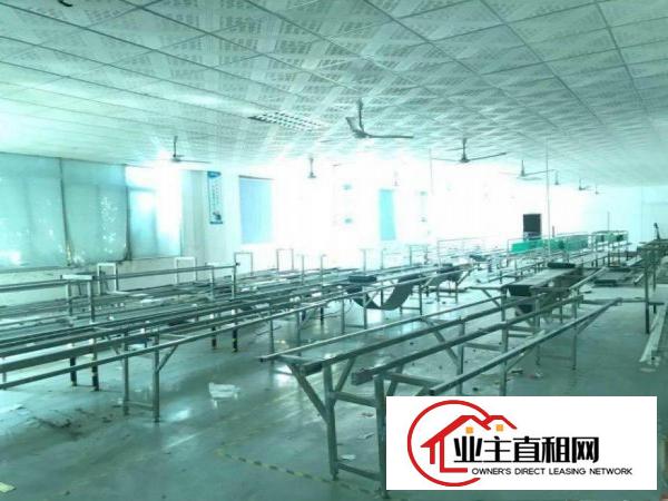  南城实际面积800平方带装修厂房出租