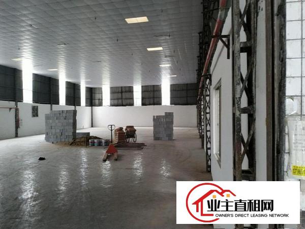  两层厂房！村委产权！交通便利！手慢无