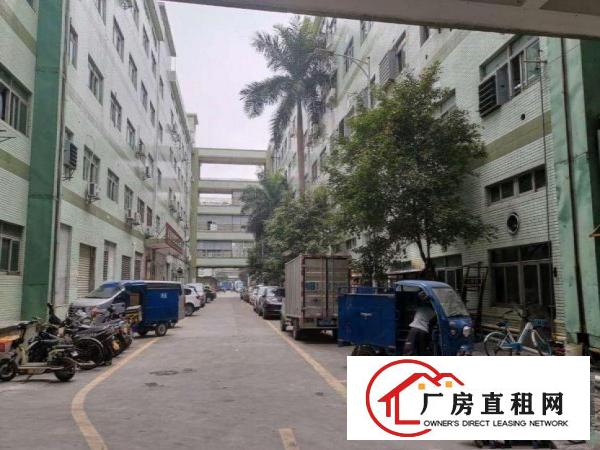  闸口标准厂房二楼950平可办环评可分租，交通方便