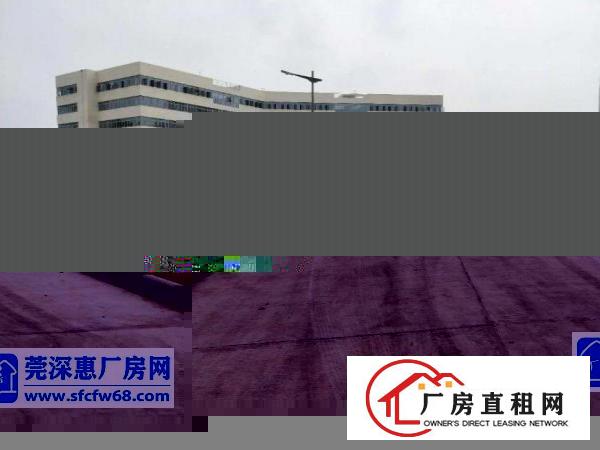  兴隆新出原房东厂房3楼1200平方带现成装修无公摊