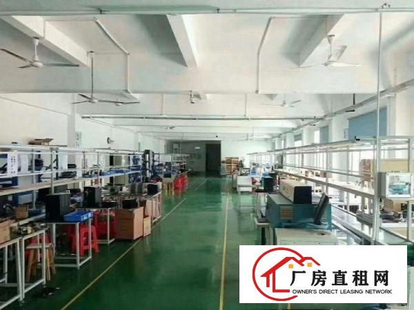  兴隆新出原房东厂房3楼1200平方带现成装修无公摊