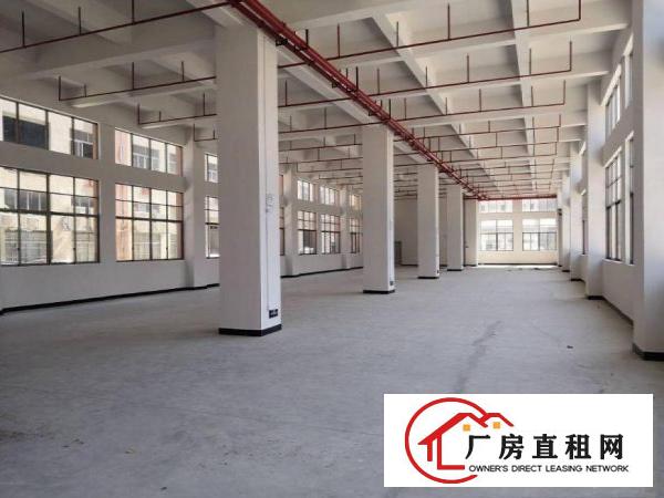  闸口标准厂房一楼1250平方米出租