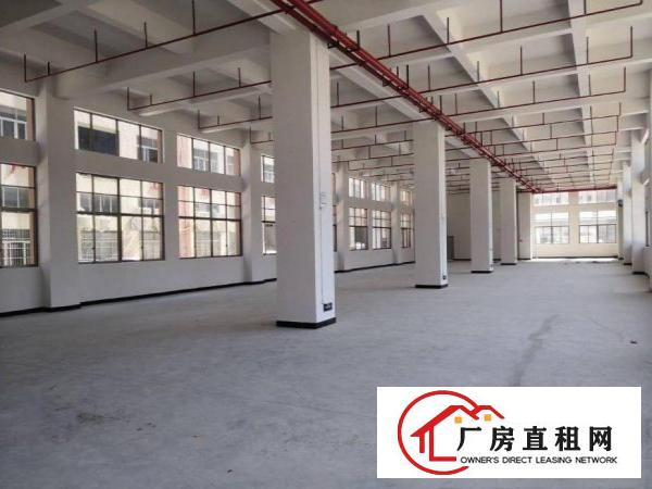  闸口标准厂房一楼1250平方米出租
