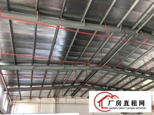  南丫新出单一层厂房2500平，钢结构有办公室出租