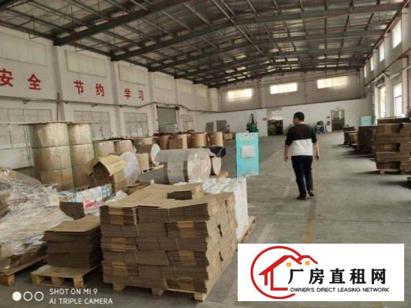  南丫新出单一层厂房2500平，钢结构有办公室出租