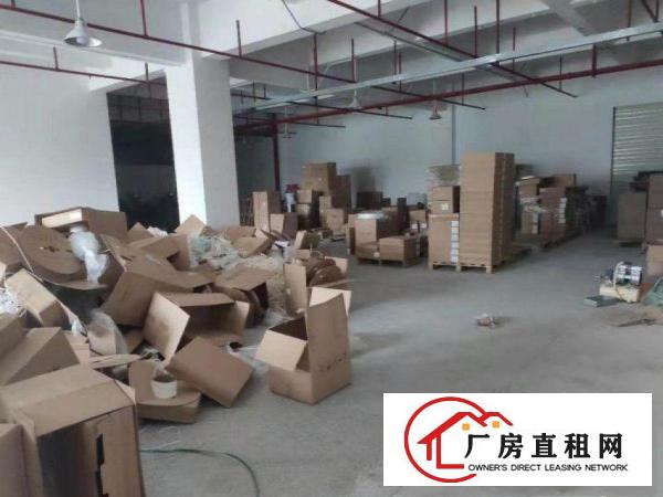  大罗沙原房东，一楼800平厂房招租，无公摊！