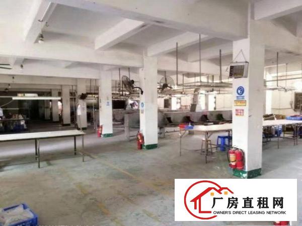  大鱼沙新出原房东标准独院厂房2500平方