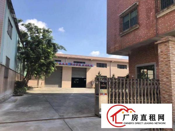  道滘独院厂房面积4100平方单一层高7米电315有宿舍办公楼