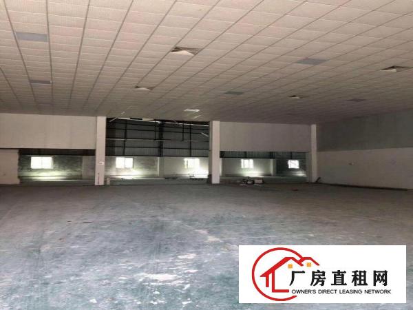  道滘独院厂房面积4100平方单一层高7米电315有宿舍办公楼