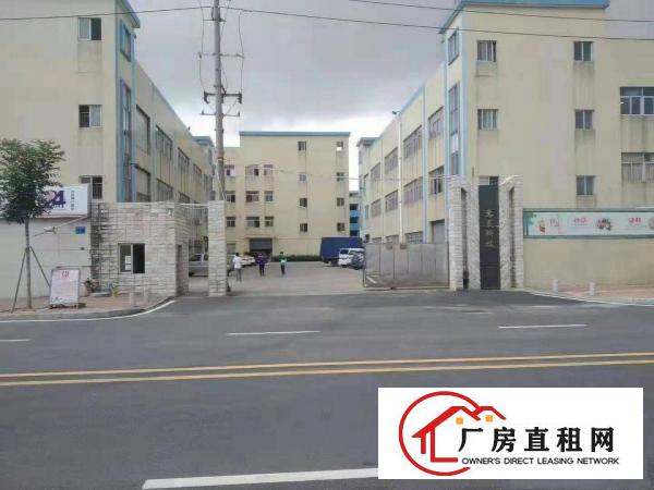  道滘三证齐全包办环评独栋厂房出租