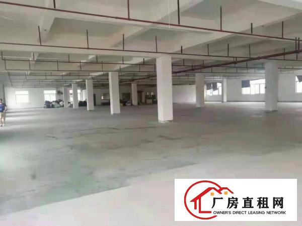  道滘三证齐全包办环评独栋厂房出租