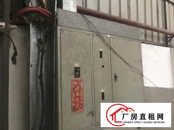  道滘原房东独院单一层1600方高度8米空地大办公室宿舍配套