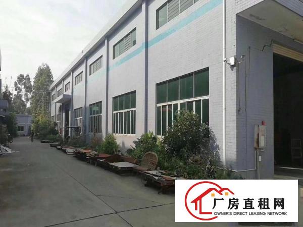  道滘原房东独院钢构2200方层高7米宿舍办公楼配套