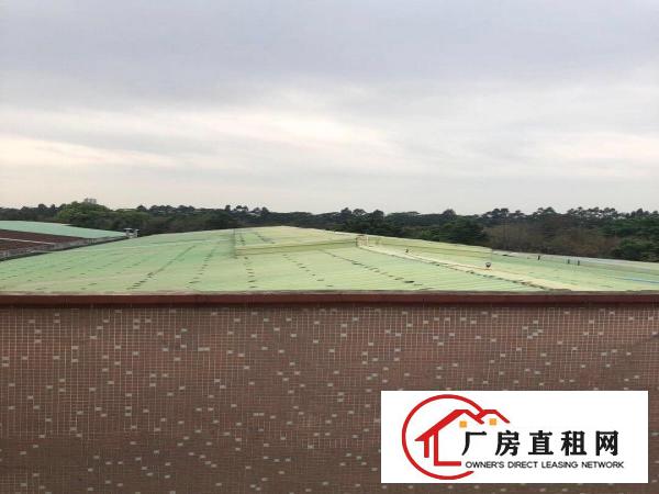  道滘蔡白独院靓厂房4800平方出租