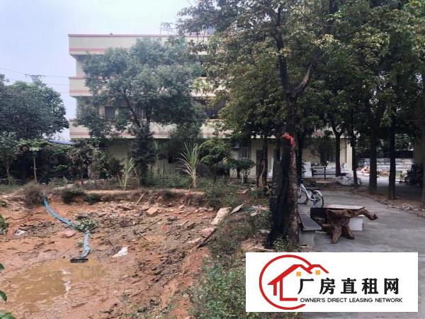  道滘蔡白独院靓厂房4800平方出租