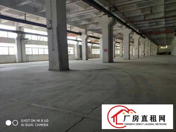  万江周边道滘南阁工业区上市公司含税实际面积厂房出租