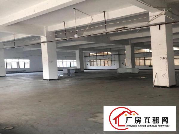  蔡白一楼5001500平方厂房出租