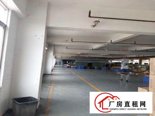  蔡白一楼5001500平方厂房出租